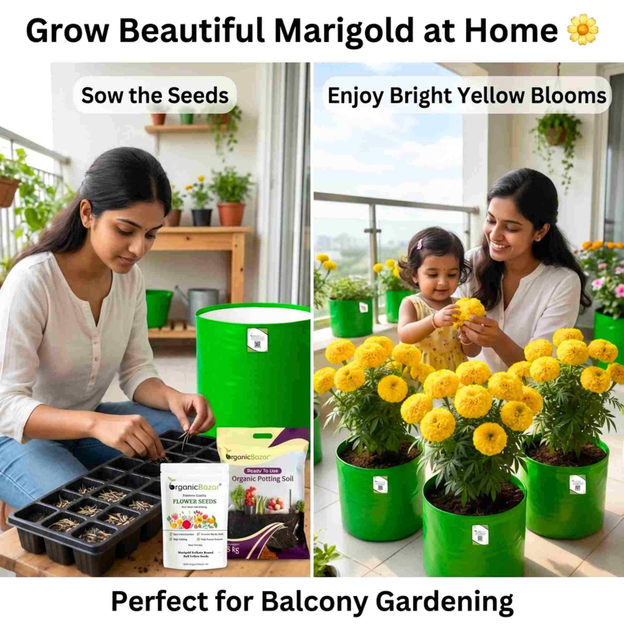 Marigold (Genda) Kolkata Round Ball Yellow Seeds (50 Seeds) (गेंदा के बीज) High Germination/ Easy To grow/ Perfect for pots, balconies, or Terrace gardens - Image 3