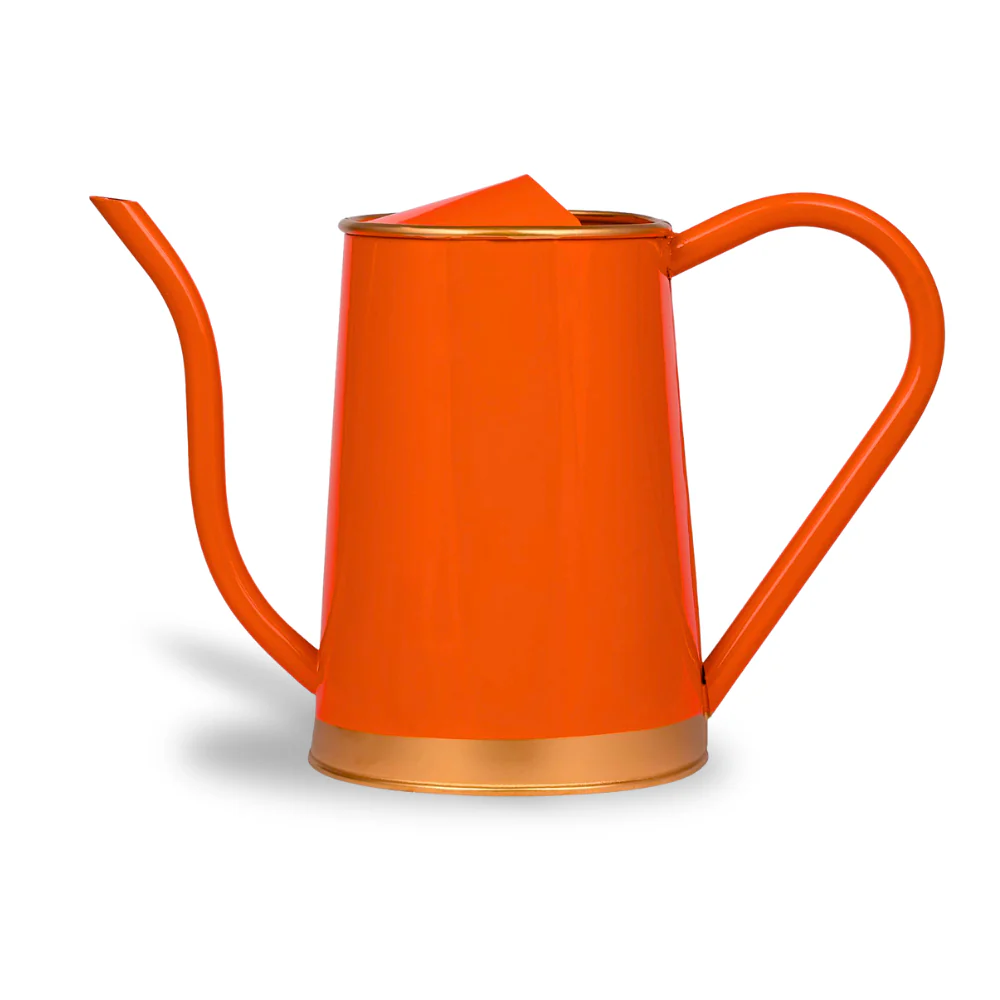 Metal Watering Can For Home Garden - Image 3