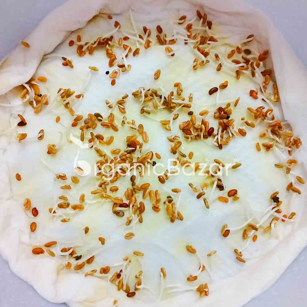 Methi Kasuri Seeds - 10g (मेथी के बीज) - Image 4