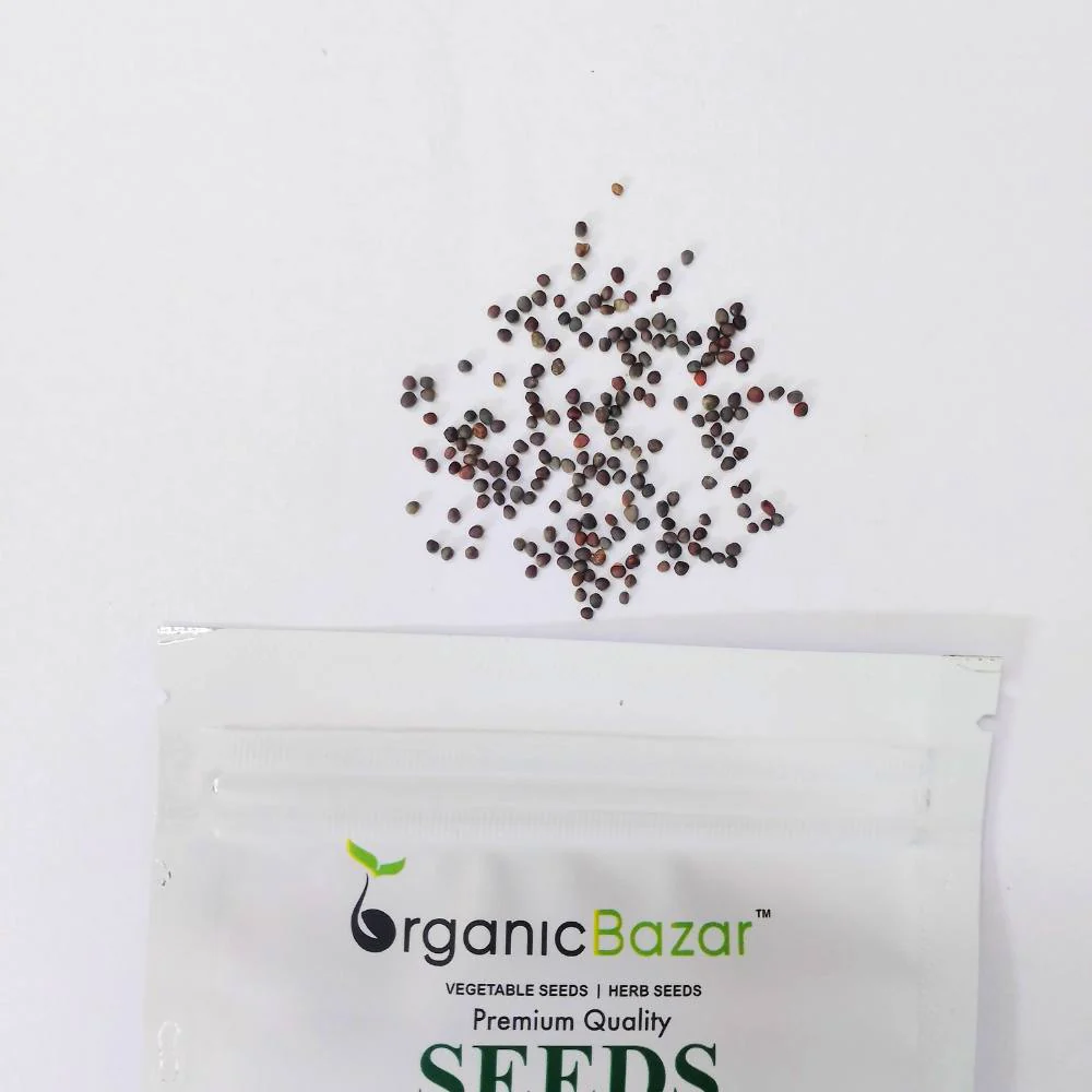 Mizuna Green Seeds (200 Seeds) - Image 4
