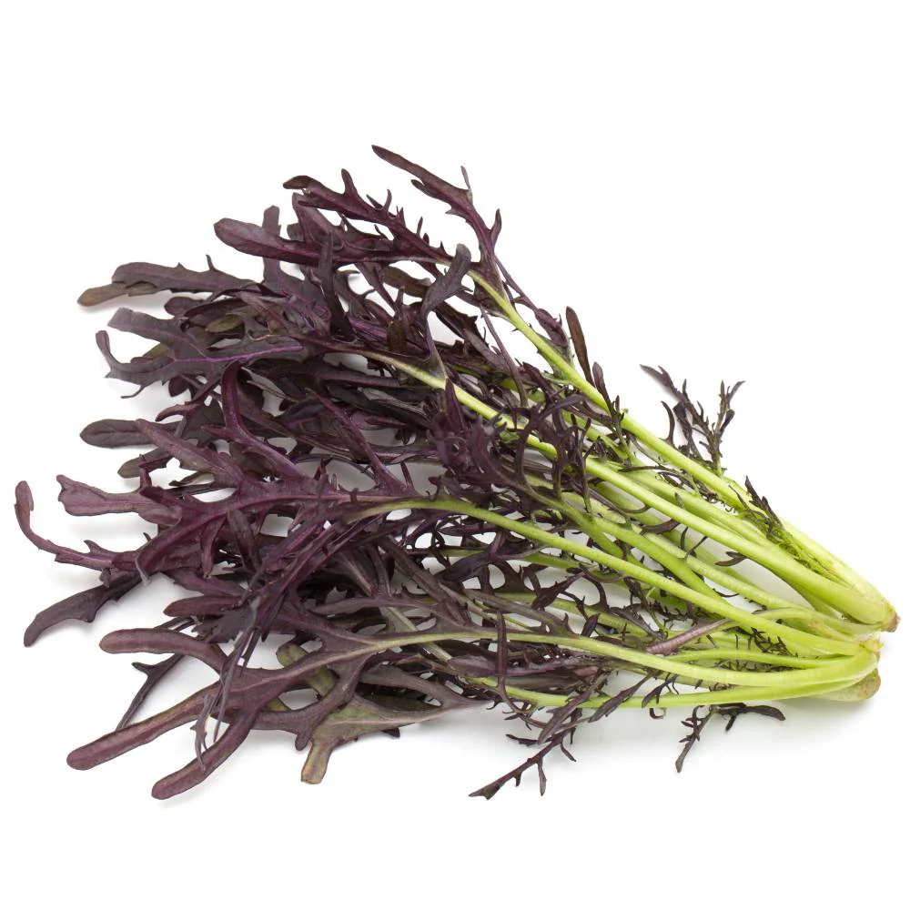 Mizuna Red Seeds (200 Seeds) - Image 2