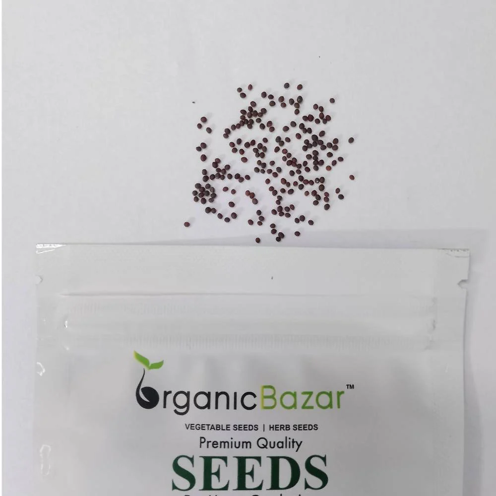Mizuna Red Seeds (200 Seeds) - Image 3