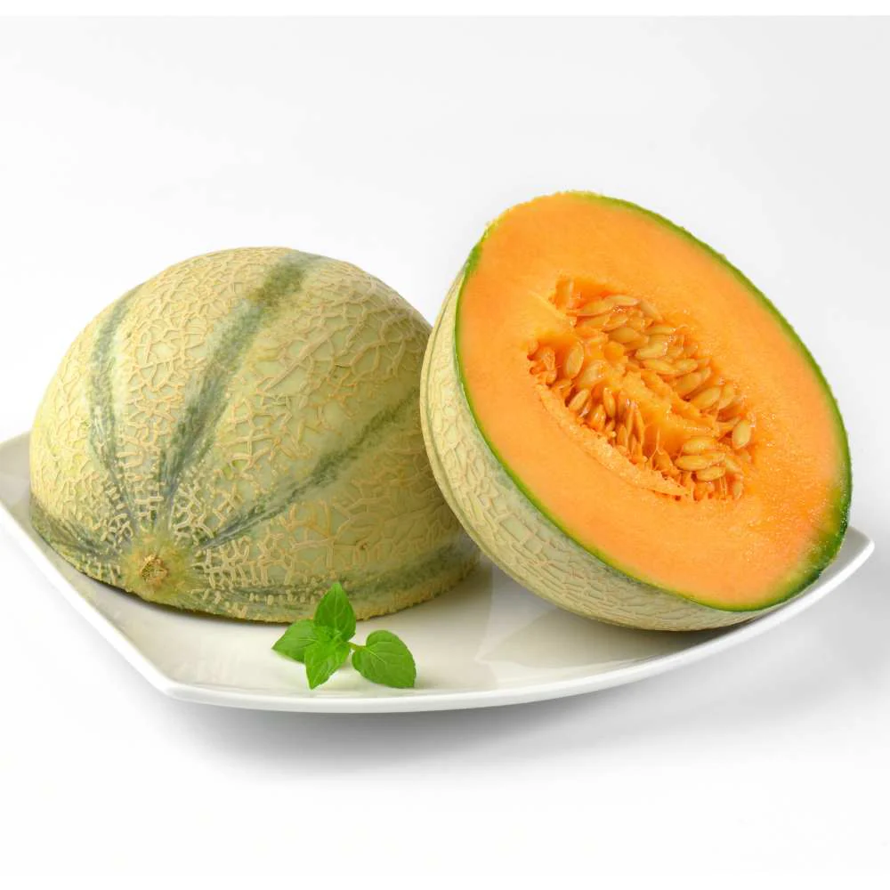 Musk Melon Round With Greenish Stripes F1 Hybrid Seeds (12 Seeds) Easy To grow, High Germination, High Yield Kharbooj Seeds for Home Gardening - Image 3
