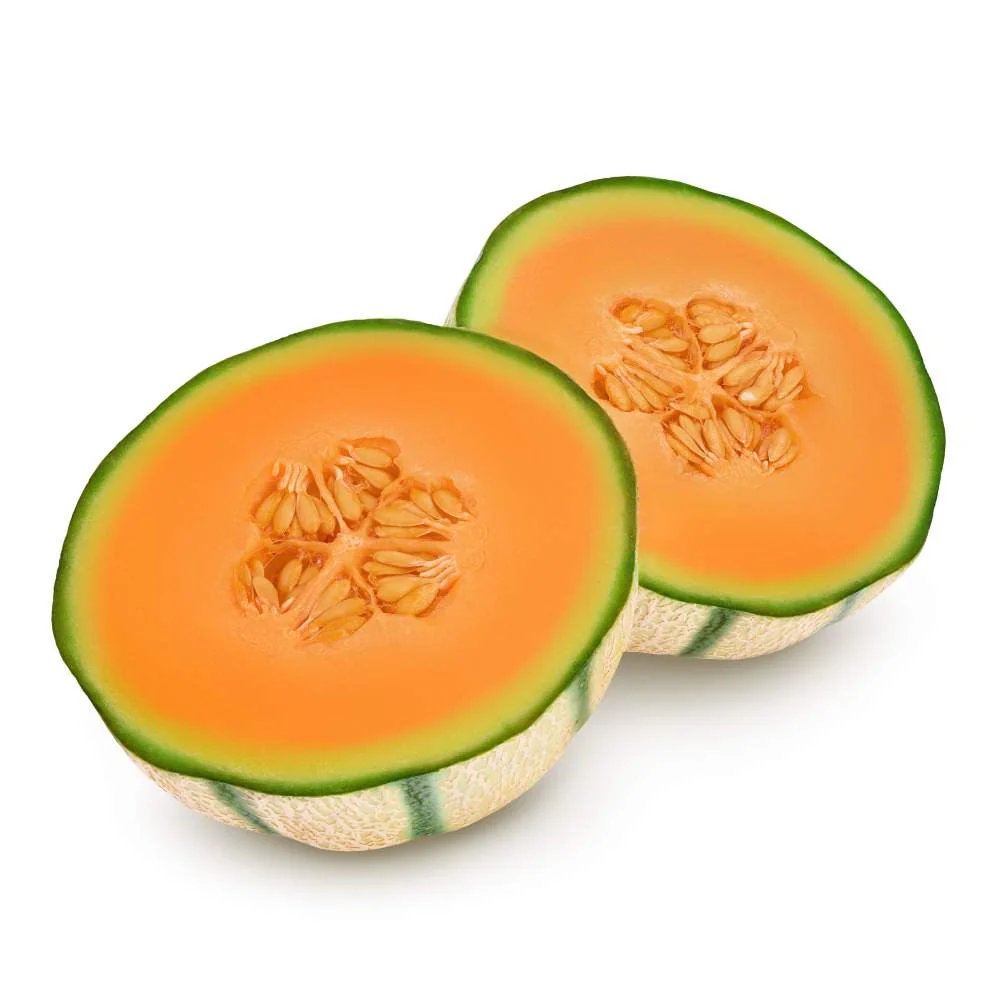 Musk Melon Round (With Small Cavity Flesh) Seeds (12 Seeds) Easy To grow, High Germination, High Yield Kharbooj Seeds for Home Gardening - Image 2