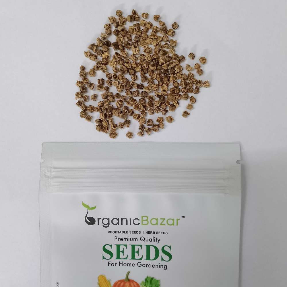 Untreated Beetroot (Chukandar) seeds For Organic Gardening - 200 Seeds (चुकंदर के बीज) - Image 3