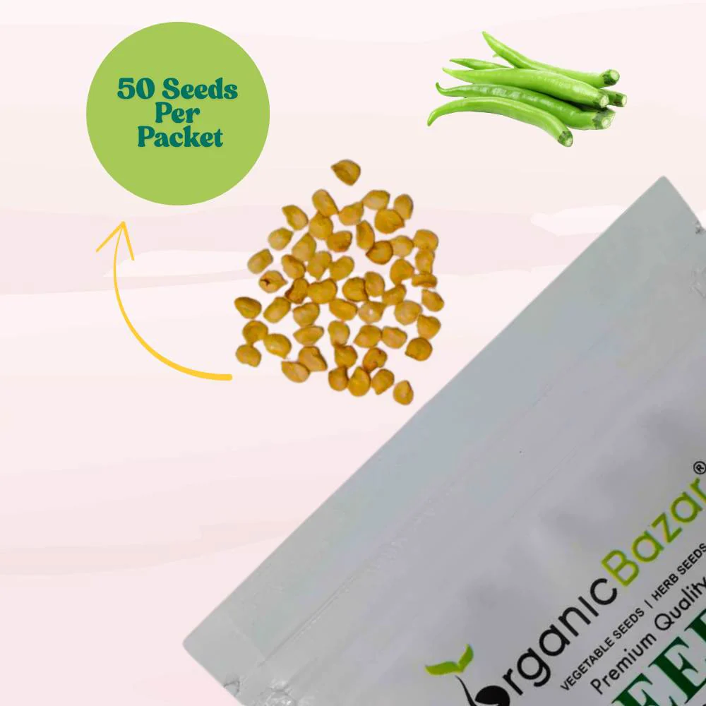 Untreated Chilli Seeds For Organic Gardening - 50 Seeds (Mirch/ मिर्च के बीज) - Image 3