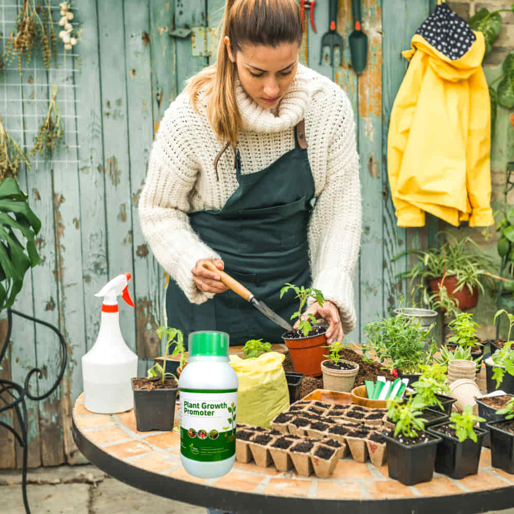 Organic Plant Growth Promoter (Liquid Fertilizer) - Image 3
