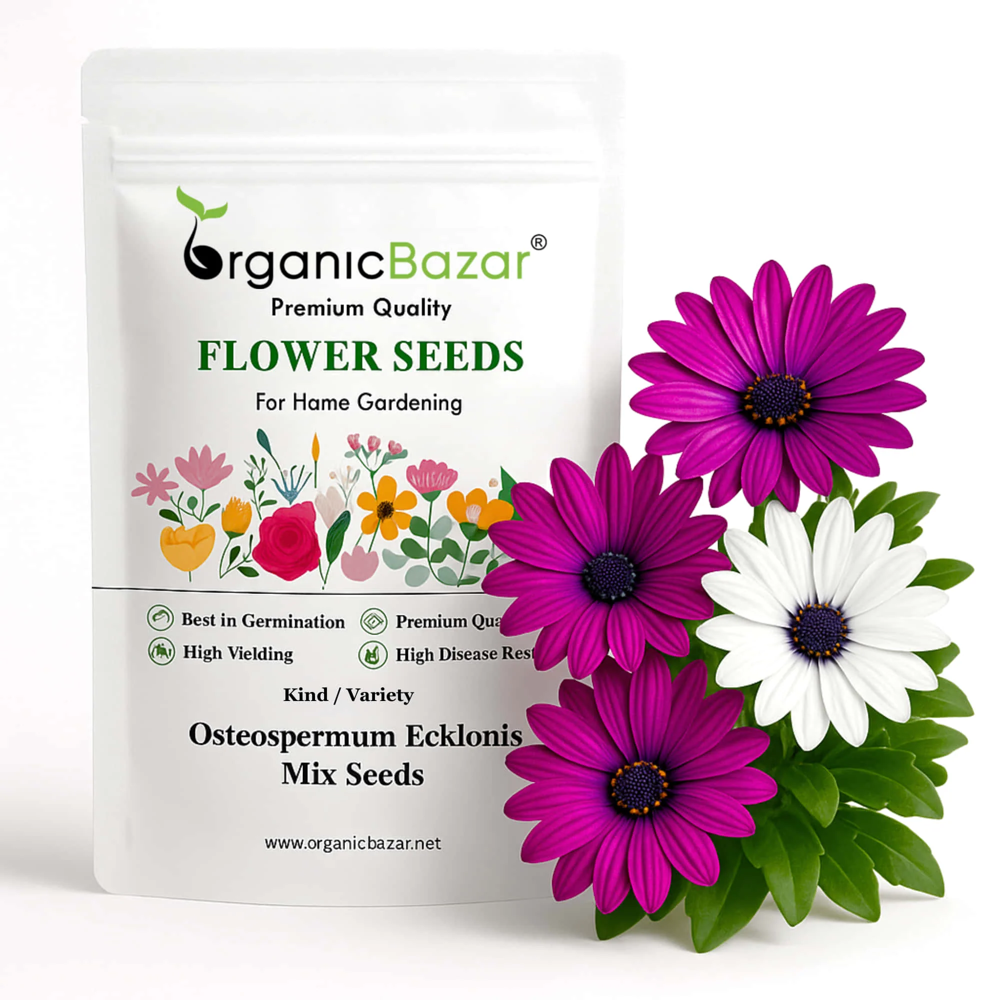 Osteospermum Ecklonis Mix Seeds (50 Seeds) Easy To Grow, High Germination, Perfect for pots, balconies, or Terrace gardens