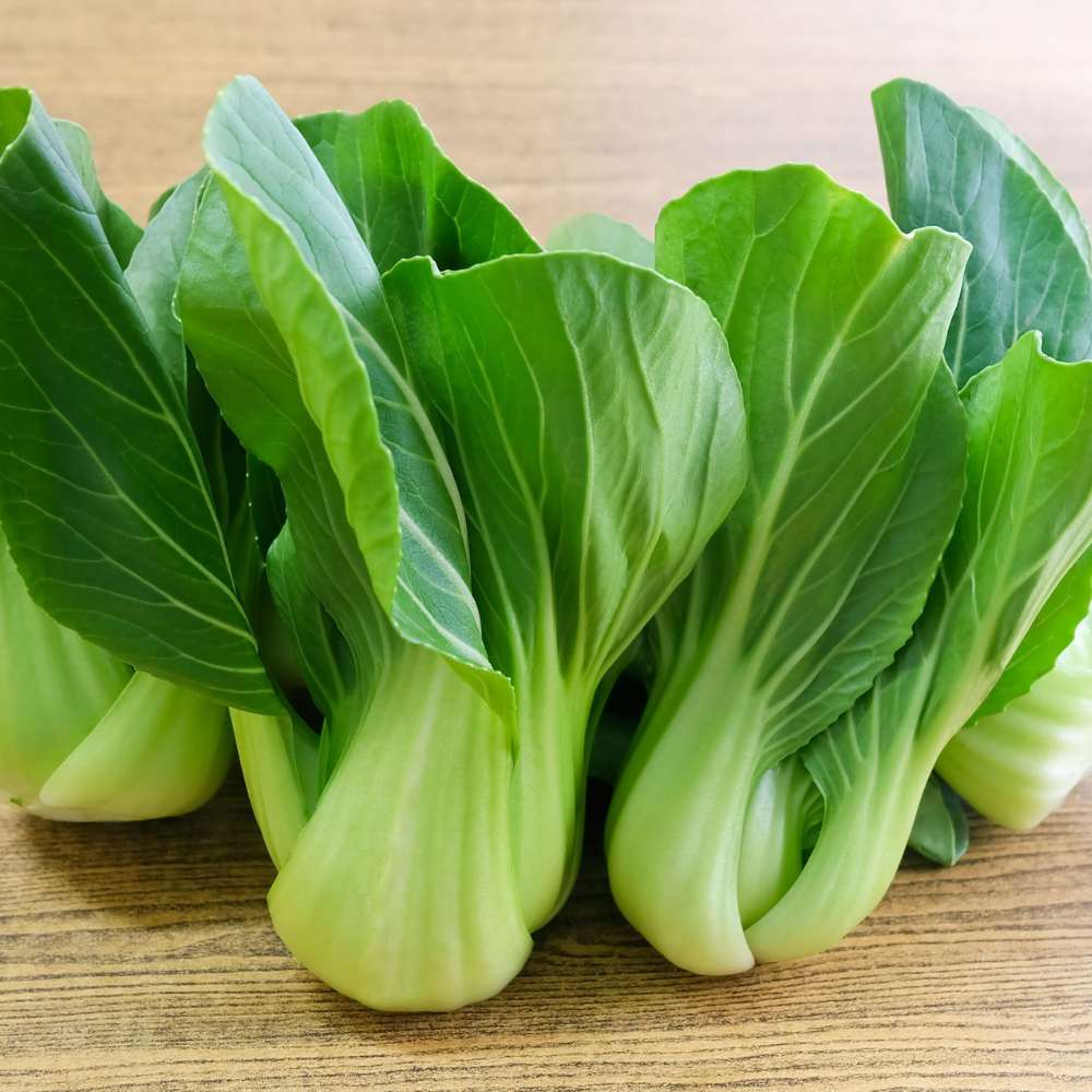 Pak Choi (Bok Choi) Seeds - 150 Seeds (पाक चोई के बीज) - Image 4