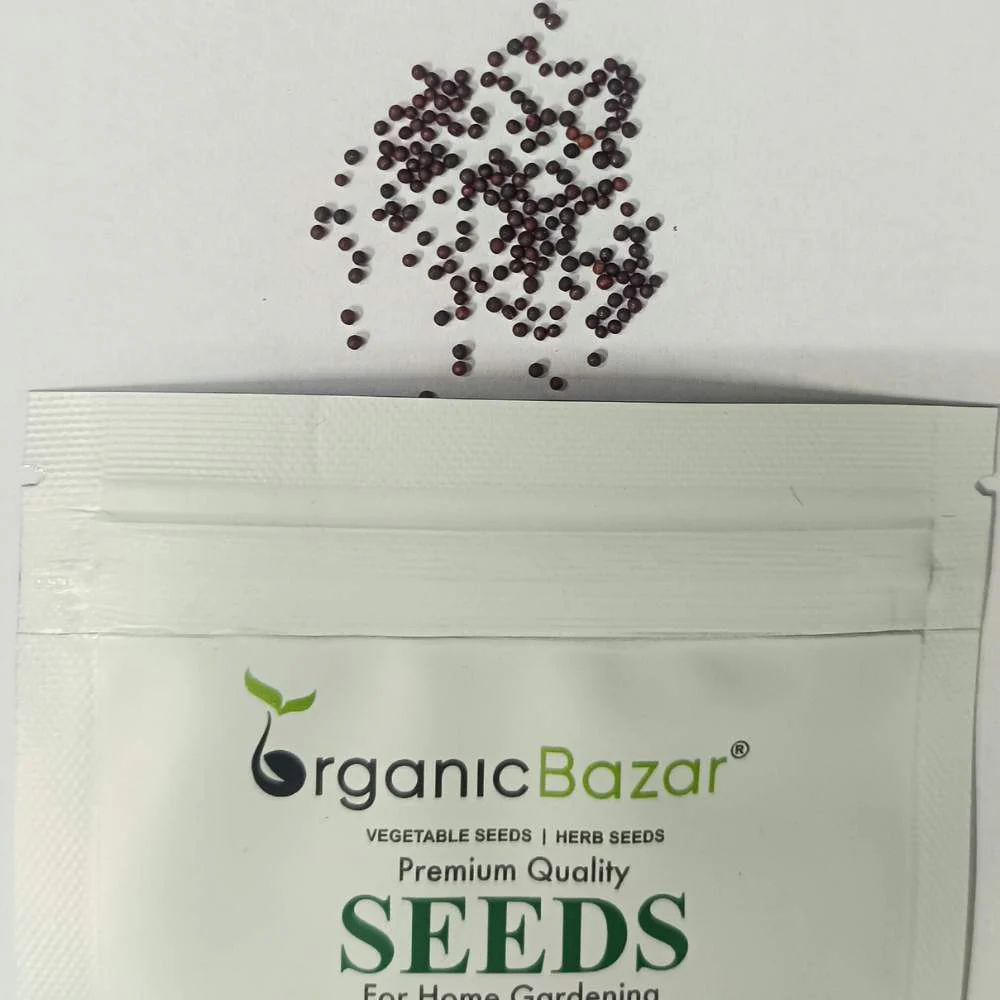 Pak Choi (Bok Choi) Seeds - 150 Seeds (पाक चोई के बीज) - Image 5