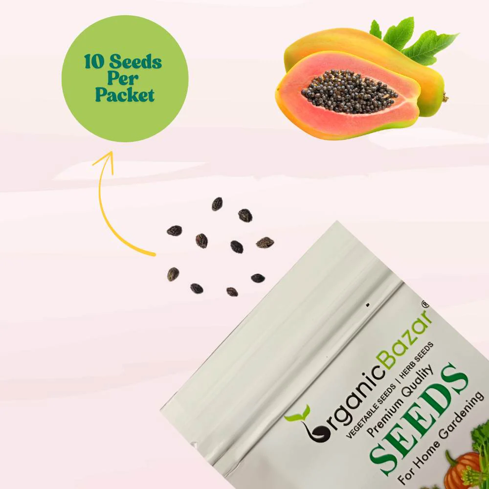 Papaya Seeds  - 10 Seeds (Papita ke beej/पपीता के बीज) High Germination,High-yielding and fast-growing - Image 6