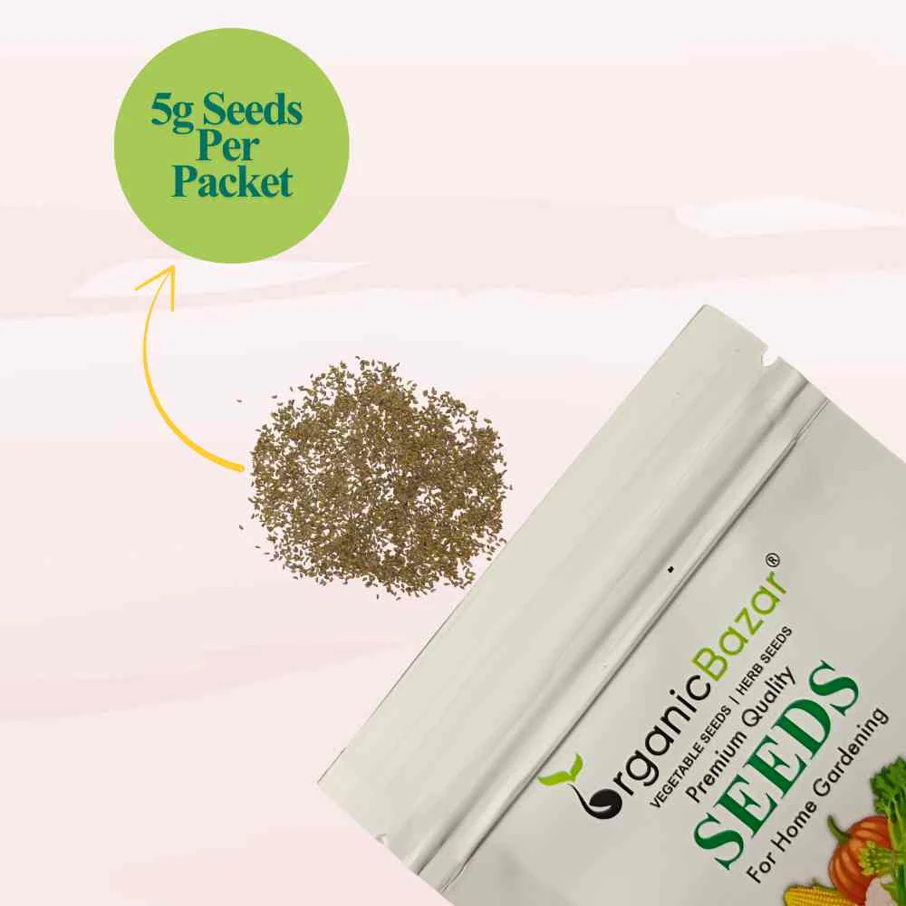 Parsley Microgreen Seeds - Image 3