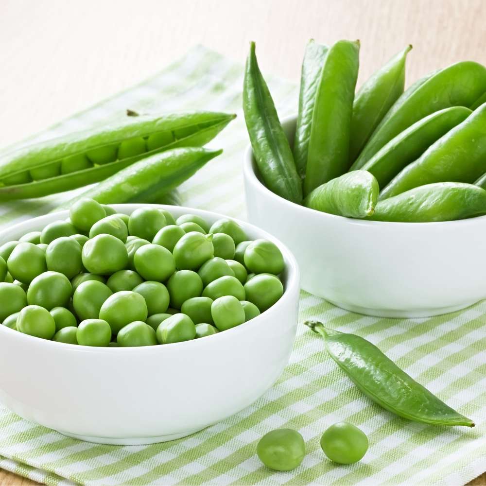 Peas (Matar) Seeds - 50 Seeds (मटर के बीज) - Image 4