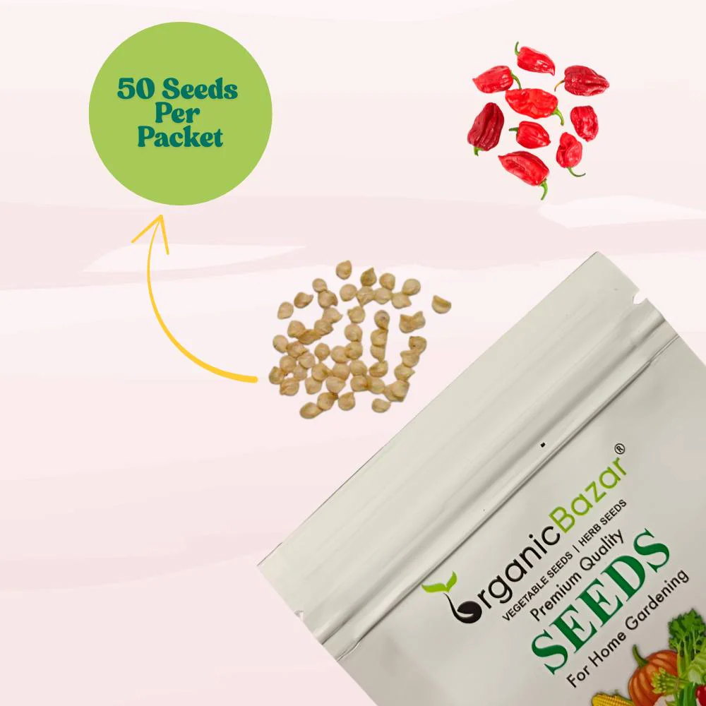 Pepper Habanero Red Seeds (50 Seeds) High Yield | High Germination | Best for Home Gardens - Image 4
