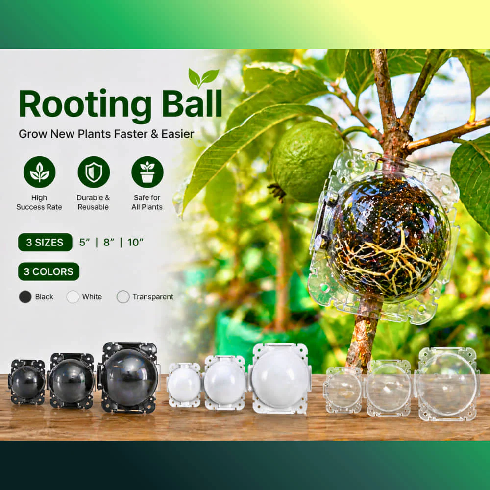 Rooting Ball Tools for Plant Propagation (Set of 5) - Image 3