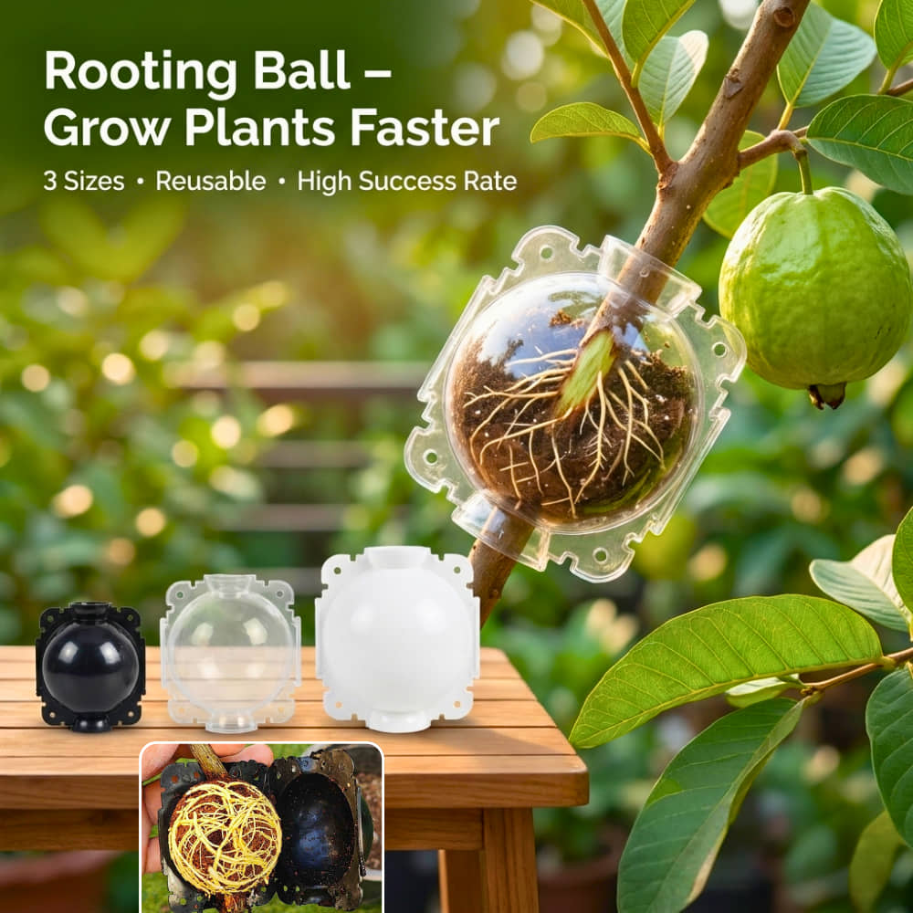 Rooting Ball Tools for Plant Propagation (Set of 5) - Image 5