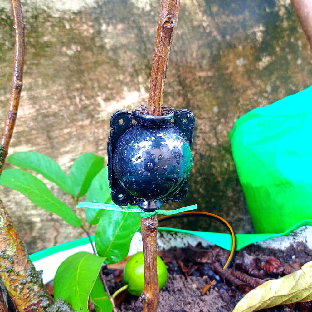 Rooting Ball Tools for Plant Propagation (Set of 5) - Image 9
