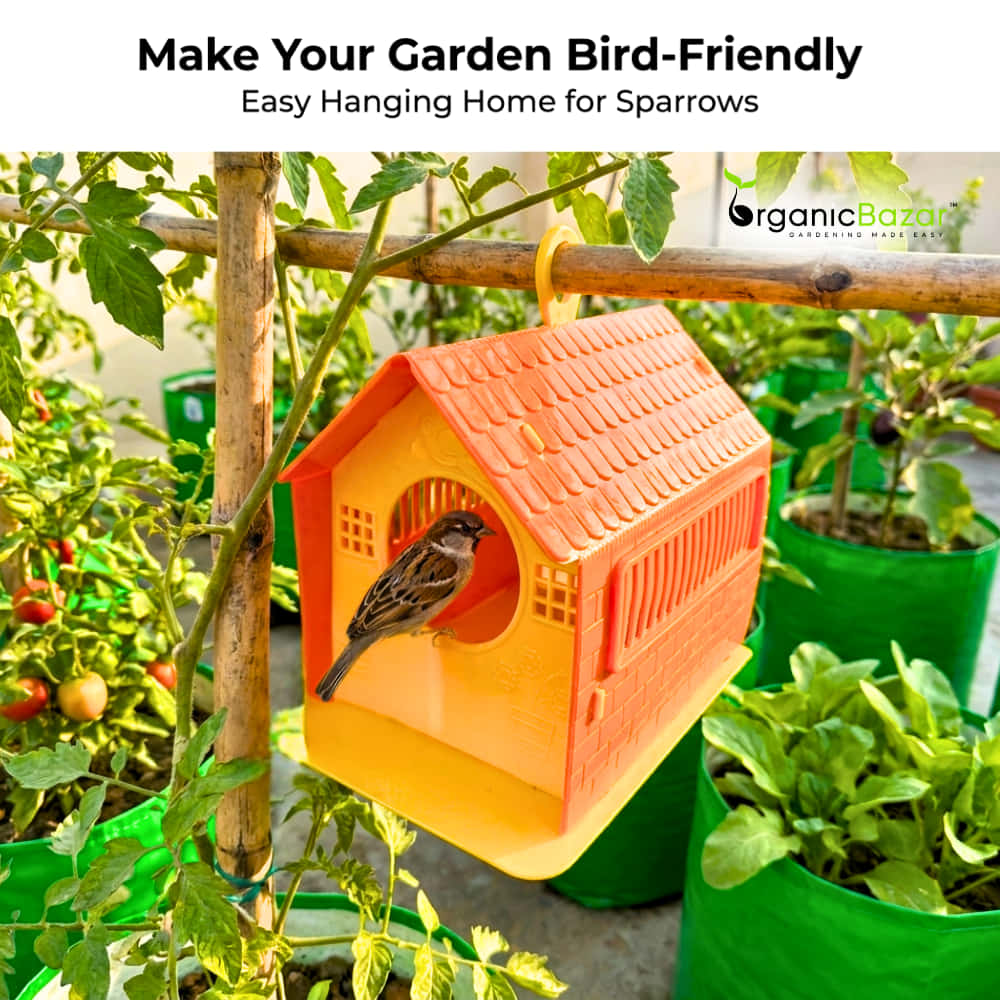 Plastic Bird House Foldable Bird Nest for Sparrows | Outdoor Nesting Shelter for Balcony & Garden | Lightweight & Weather-Resistant Bird Home with Air Ventilation - Image 2