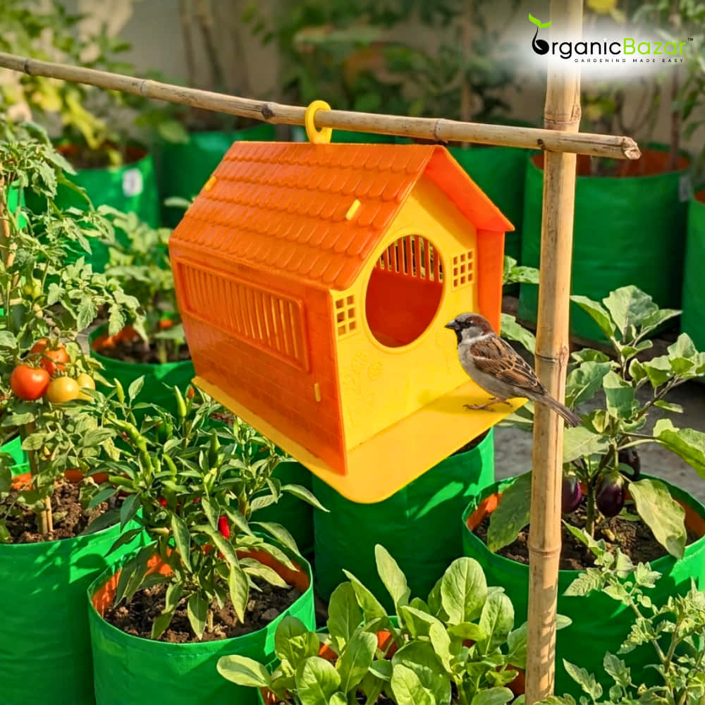 Plastic Bird House Foldable Bird Nest for Sparrows | Outdoor Nesting Shelter for Balcony & Garden | Lightweight & Weather-Resistant Bird Home with Air Ventilation - Image 5