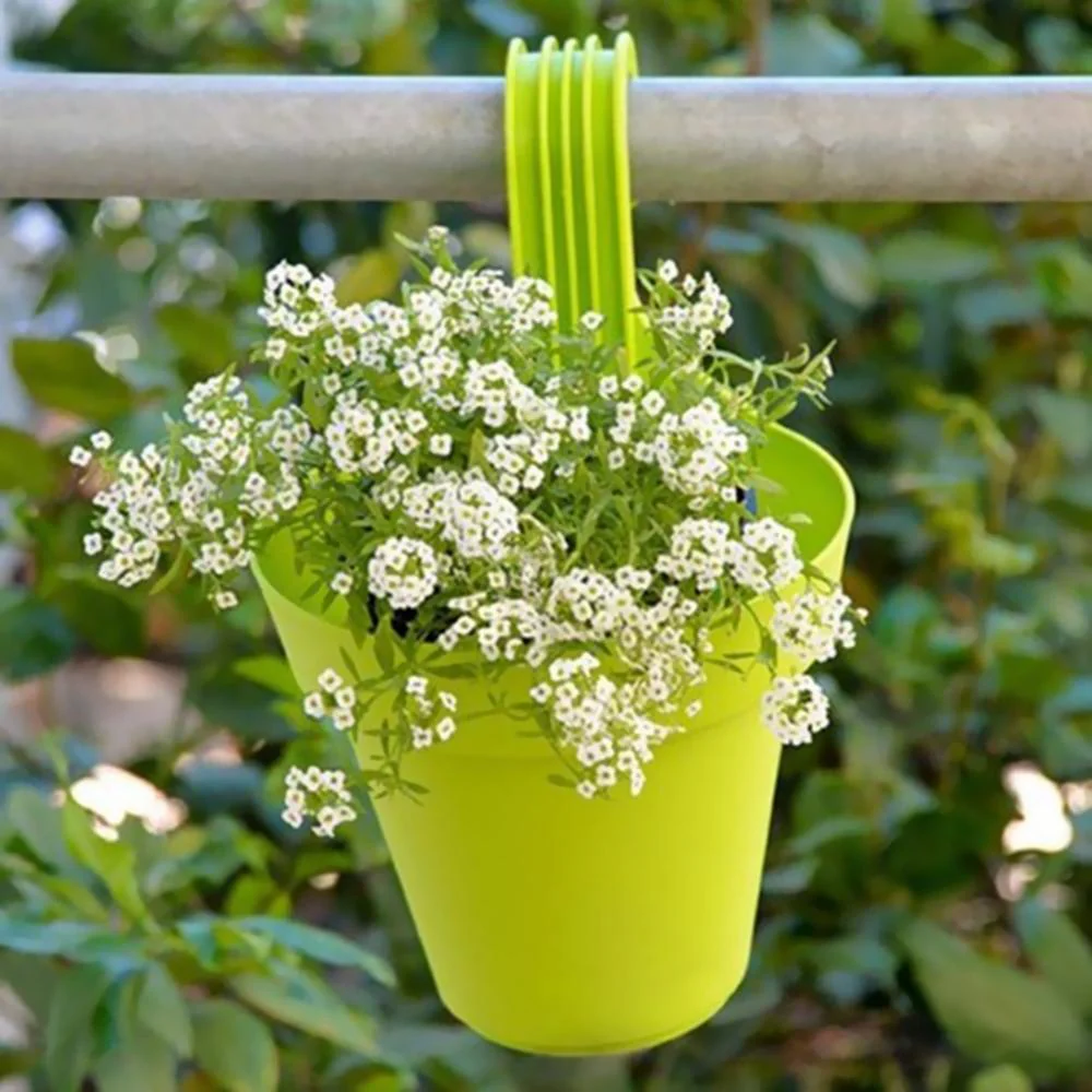 Plastic Hook Hanging Pot (28x12x22 cm) (Set of 5) - Image 3