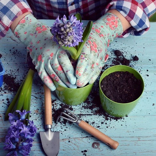 Ready to Use Organic Potting Soil Mix - 5kg For Home Gardening - Image 8