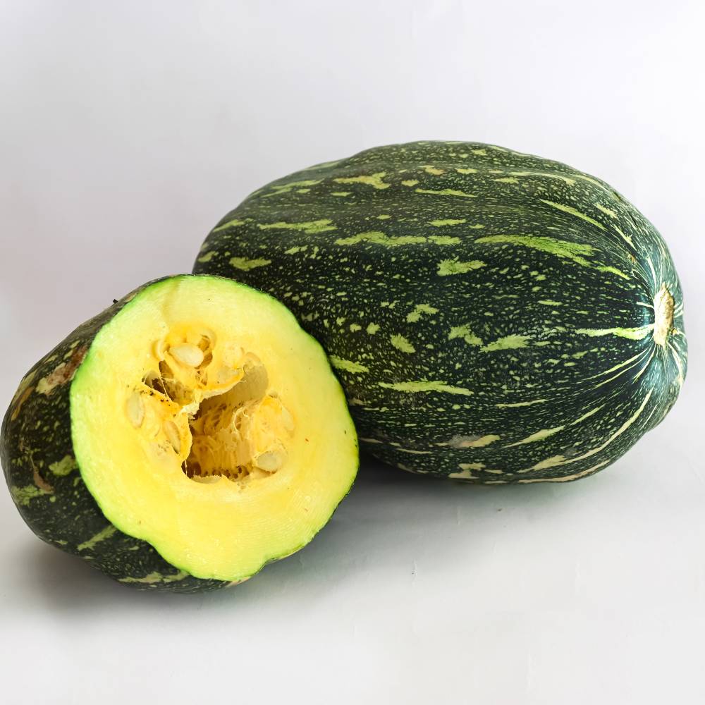 Pumpkin Oval seeds - 12 Seeds (Kaddu/ कद्दू के बीज)  Easy To grow, High Germination, High Yield Kaddu Seeds for Home Gardening - Image 2