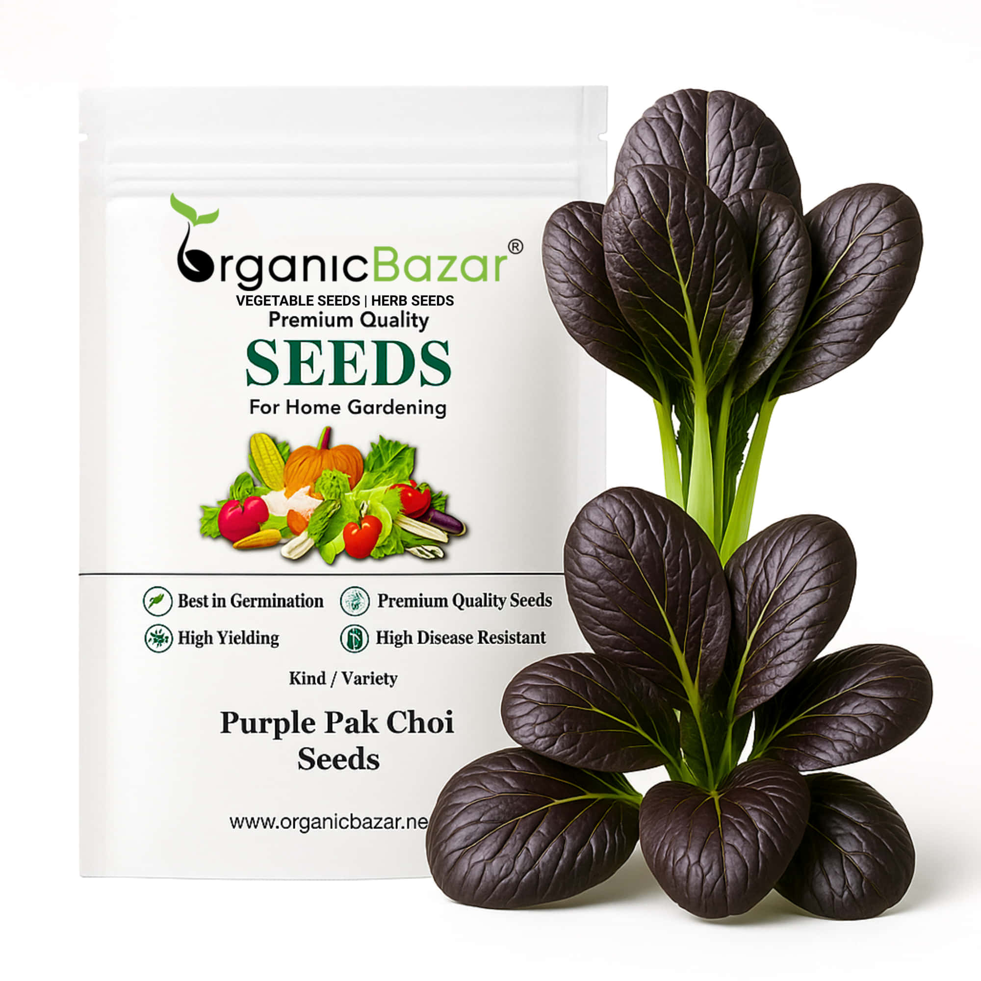 Purple Pak Choi Seeds (100 Seeds) High germination rate, Perfect for Kitchen gardening