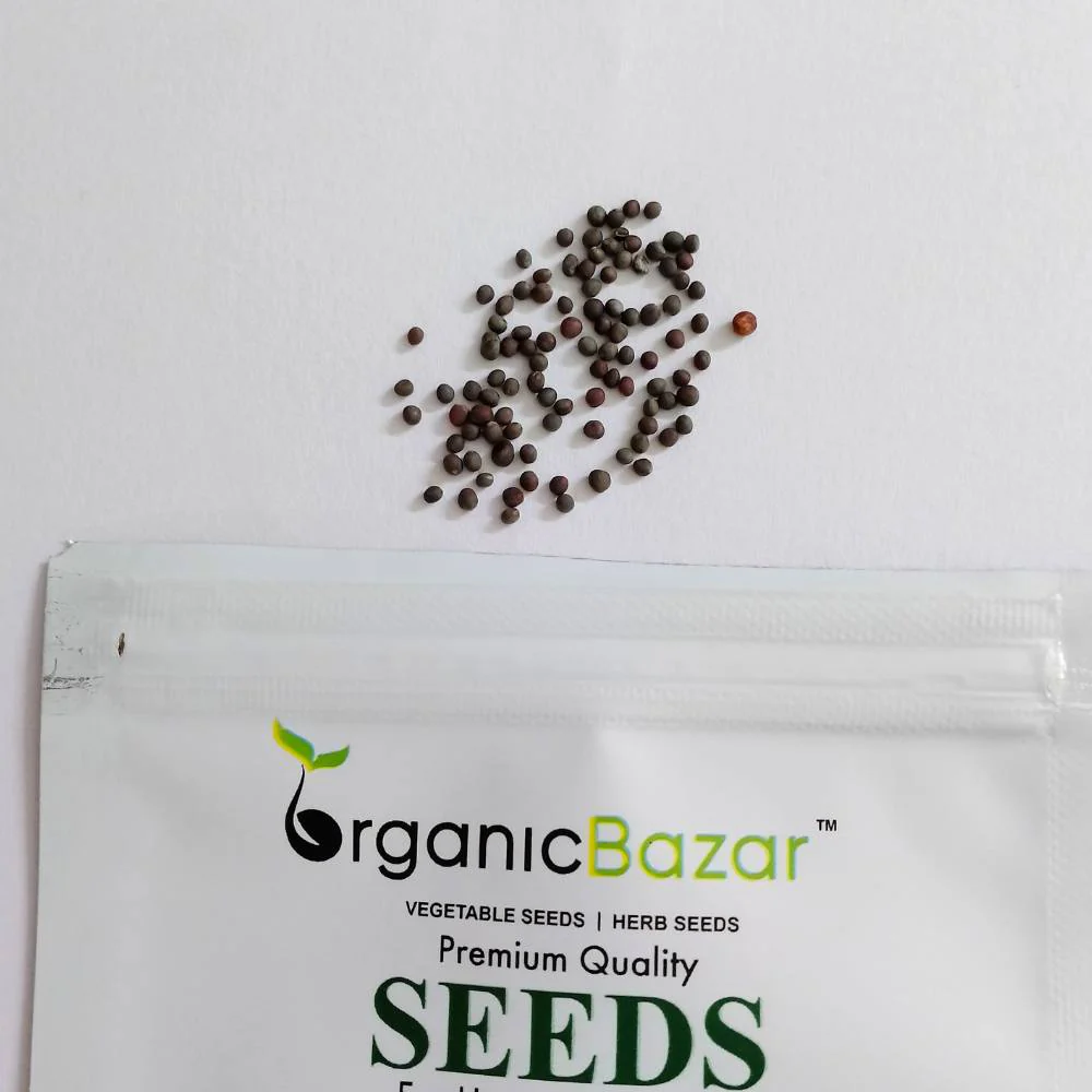 Purple Pak Choi Seeds (100 Seeds) High germination rate, Perfect for Kitchen gardening - Image 4