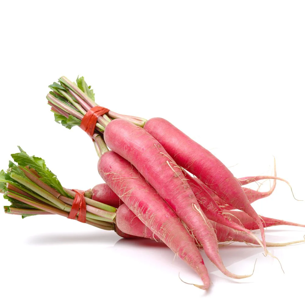 Radish Long Red Seeds (250 Seeds) - Image 2