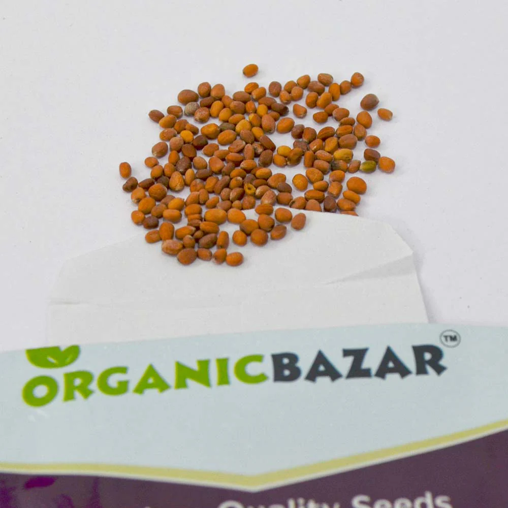 Radish Long Red Seeds (250 Seeds) - Image 3