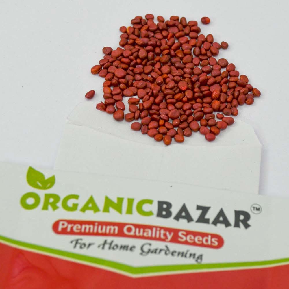 Radish (Mooli) Seeds White Long - 250 Seeds (मूली के बीज) - Image 4
