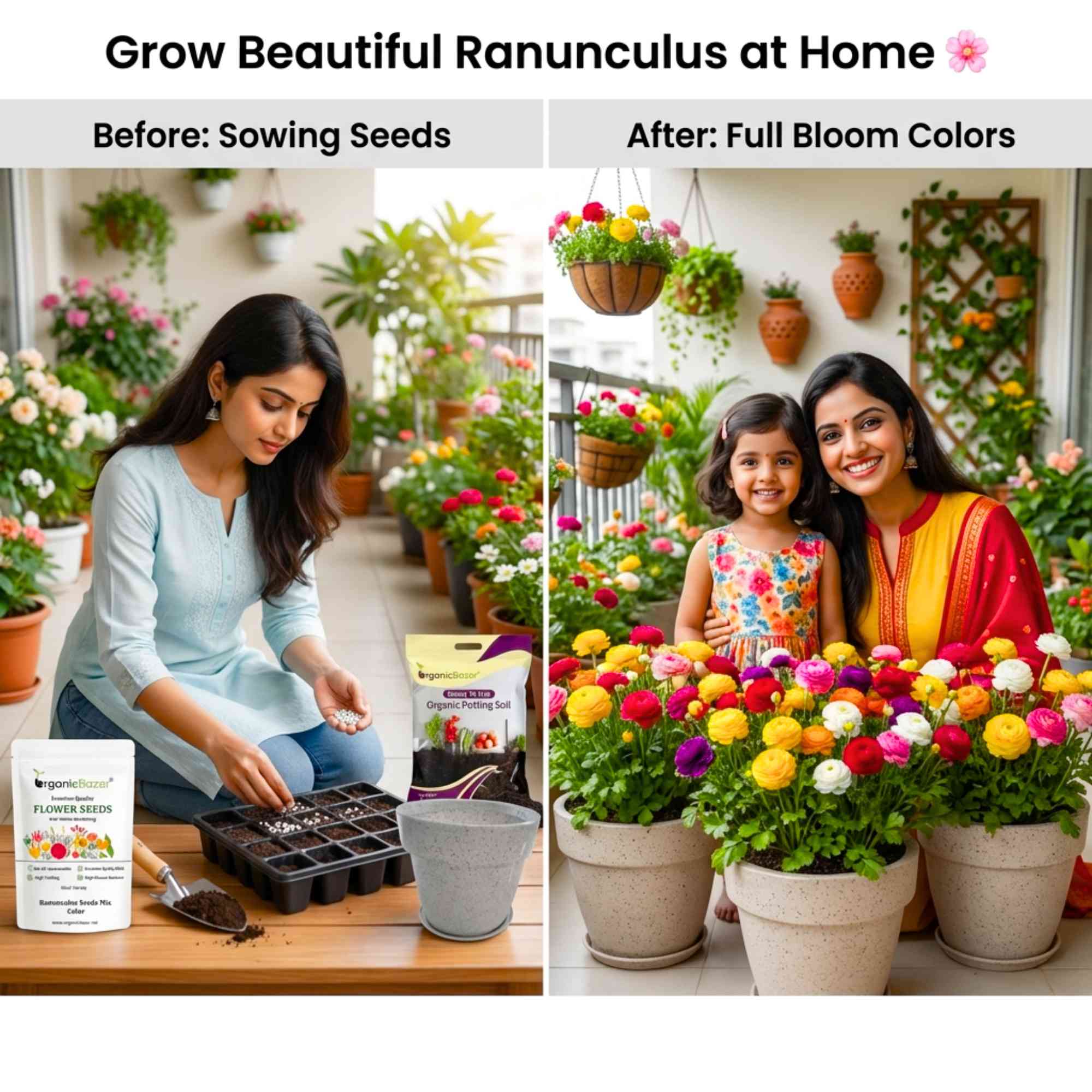 Ranunculus Seeds Mix Color (10 Seeds) High Germination/ Easy To grow/ Perfect for pots, balconies, or Terrace gardens - Image 2