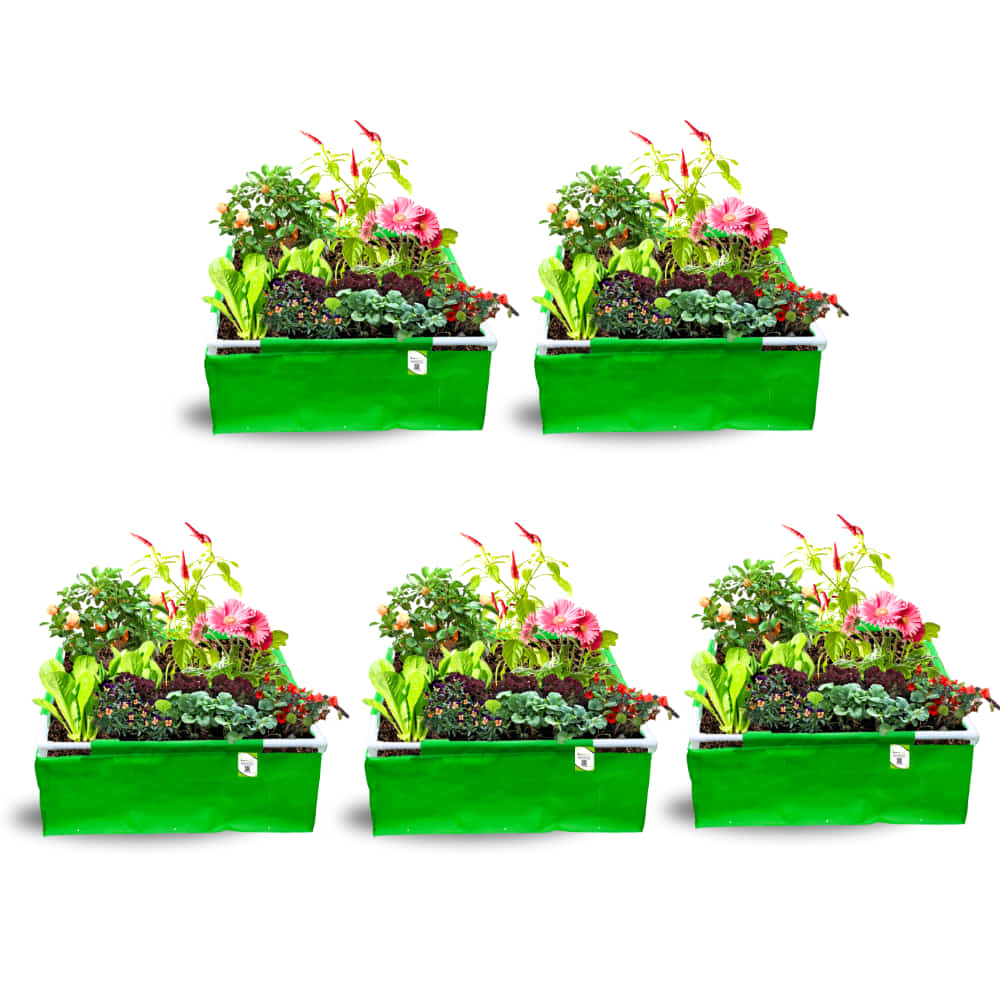 OrganicBazar 36x36x12 Rectangle Grow Bag With Supporting Pvc Pipes Extra Thick Premium HDPE Green Grow Bags - Image 8