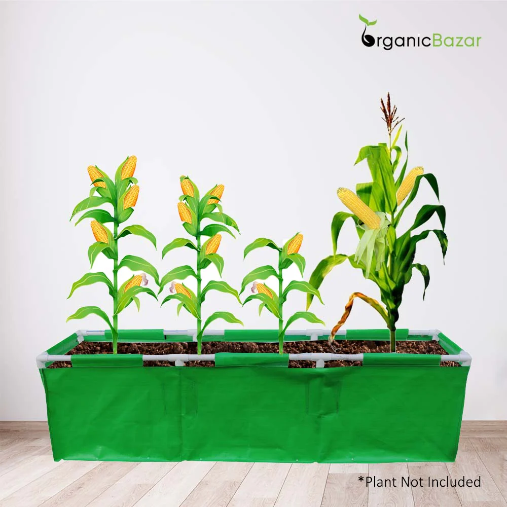 HDPE 60x15x15 Rectangle Grow Bag With Supporting Pvc Pipes Extra Thick Premium Quality Grow Bags - Image 8