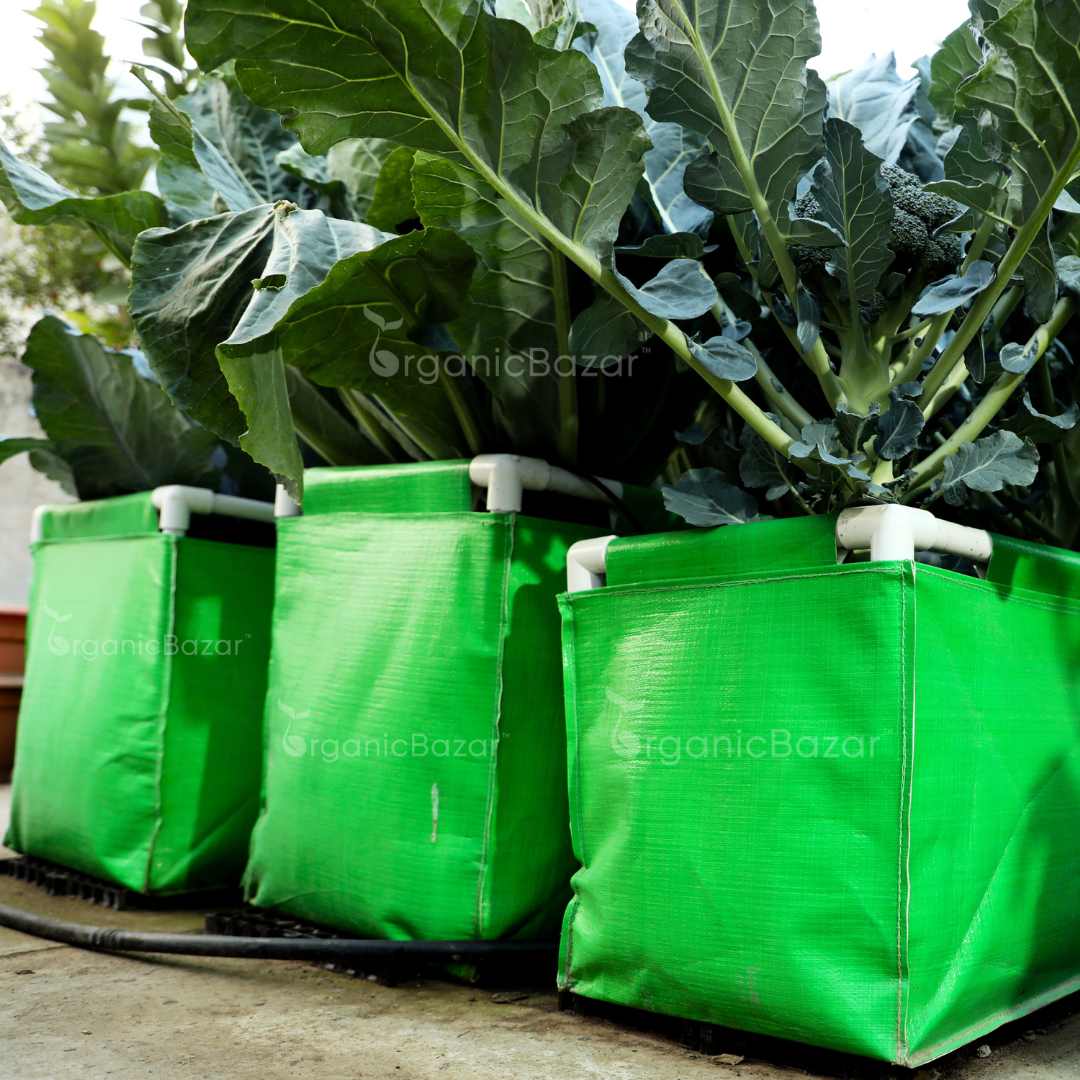 HDPE 60x15x15 Rectangle Grow Bag With Supporting Pvc Pipes Extra Thick Premium Quality Grow Bags - Image 9