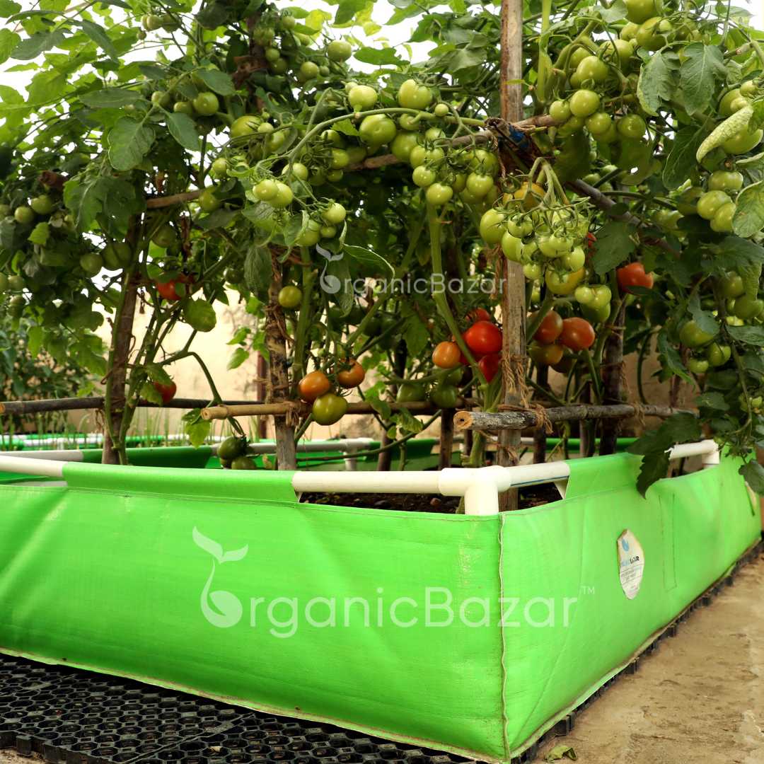 OrganicBazar 72x36x12 Rectangular Grow Bag With Supporting Pvc Pipes Frame, Premium HDPE Green Raised Bed - Image 4