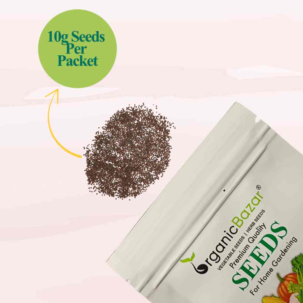 Red Cabbage Microgreen Seeds (10g) - Image 3