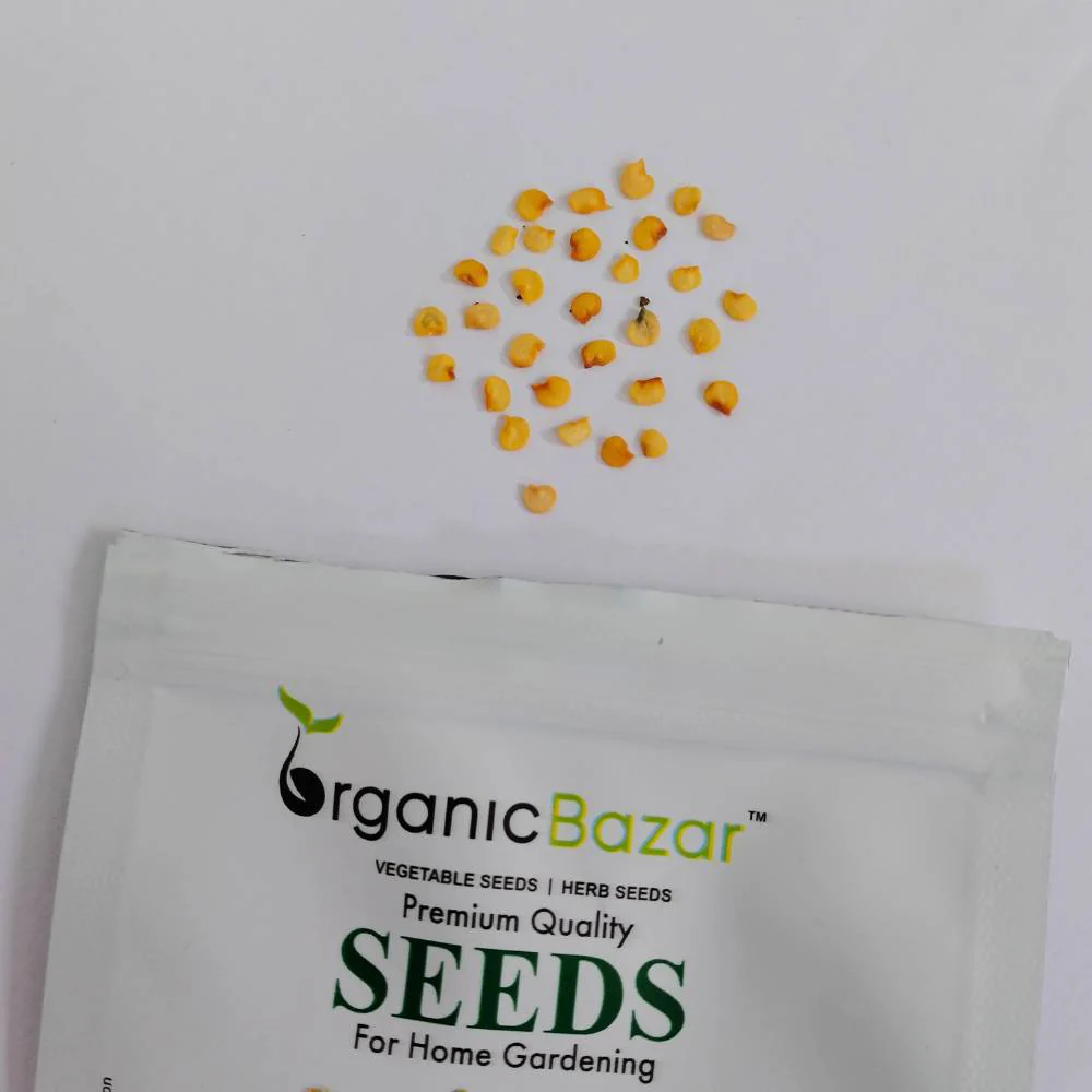 Red Cherry Pepper Chilli Seeds (30 Seeds) - Image 2