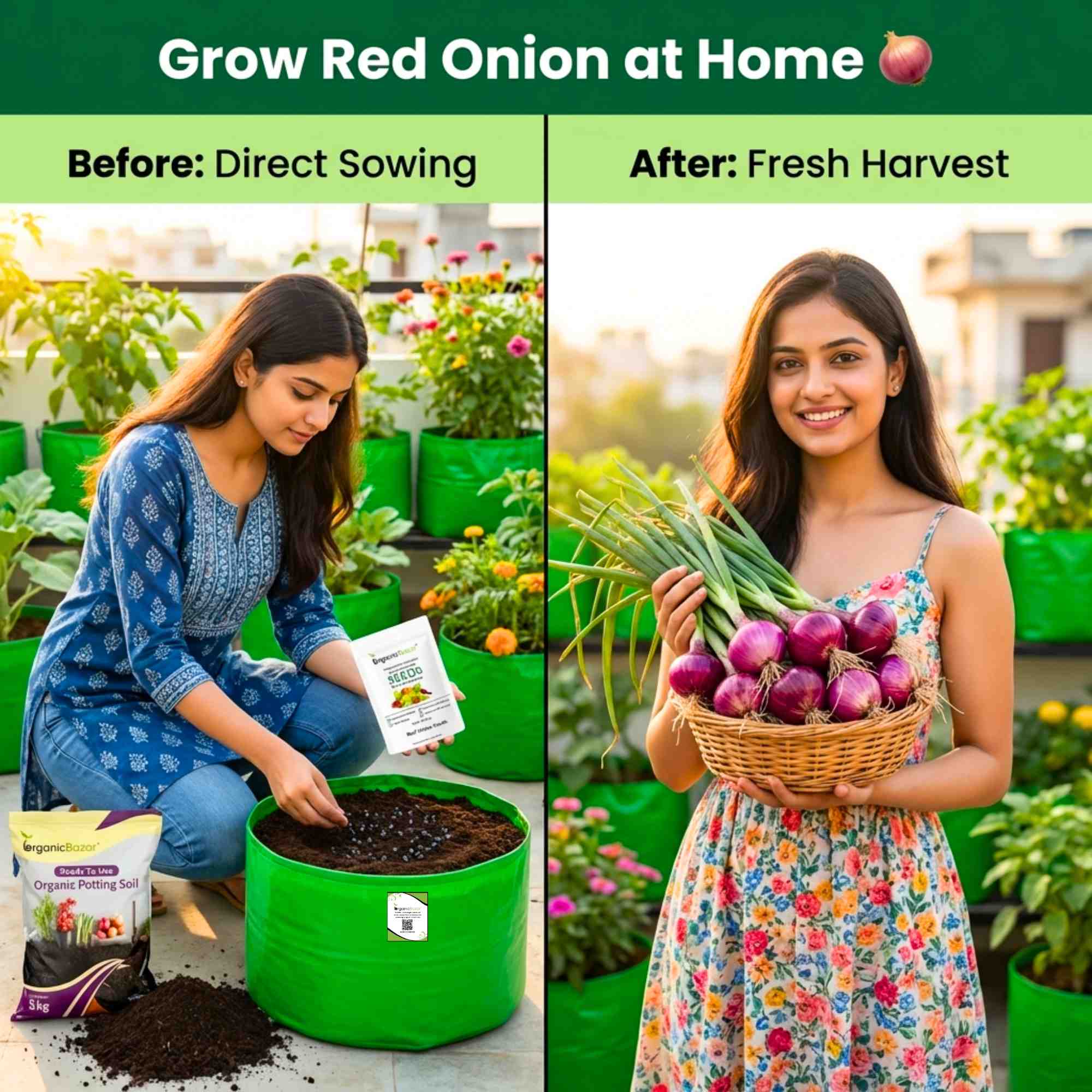 Red Onion (Lal Pyaj) Seeds - 400 Seeds (लाल प्याज के बीज) High Yield/High Germination/Best Seeds for Terrace Gardening - Image 2