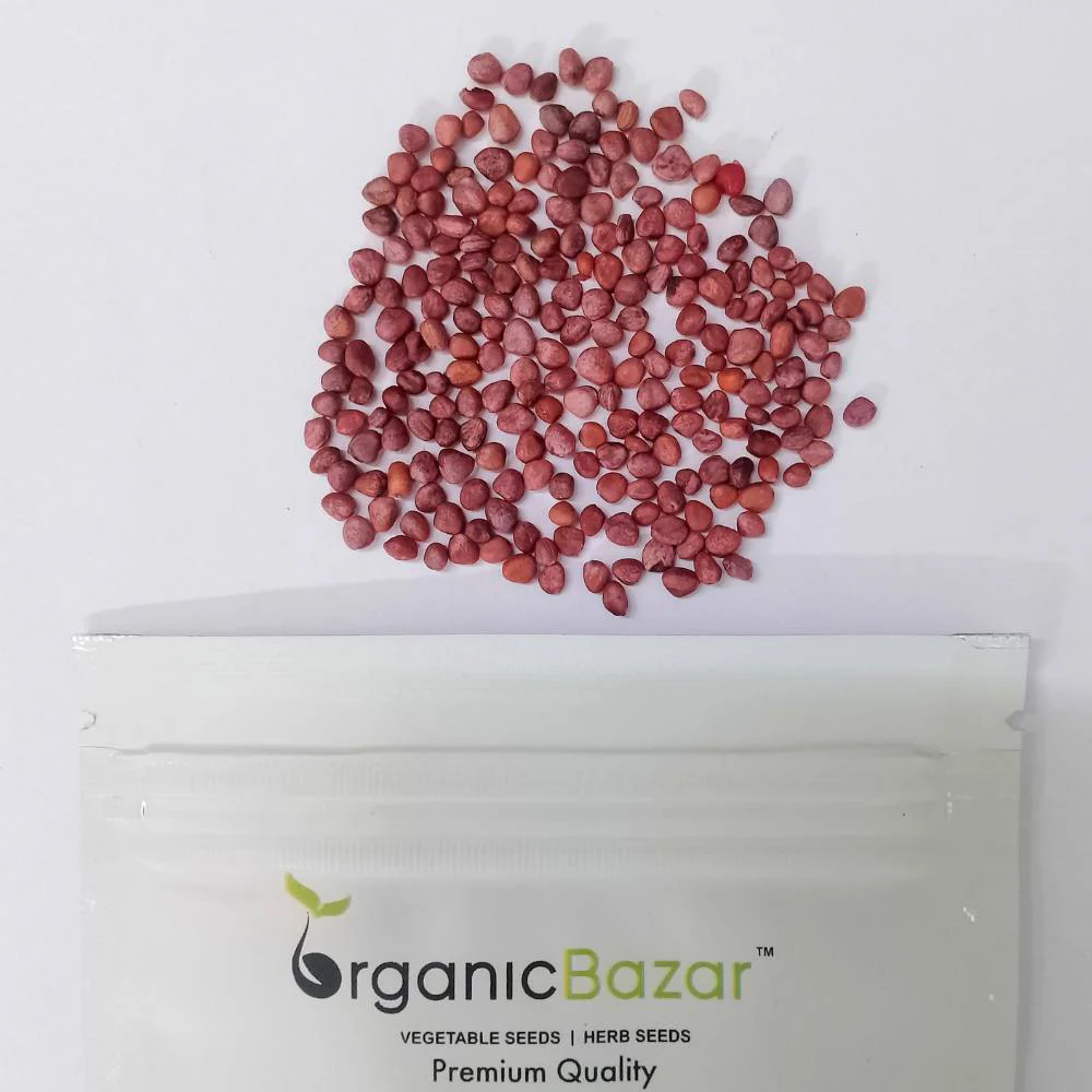 Red Round Radish Seeds - 200 Seeds (Gol Mooli/लाल गोल मूली के बीज) - Image 6
