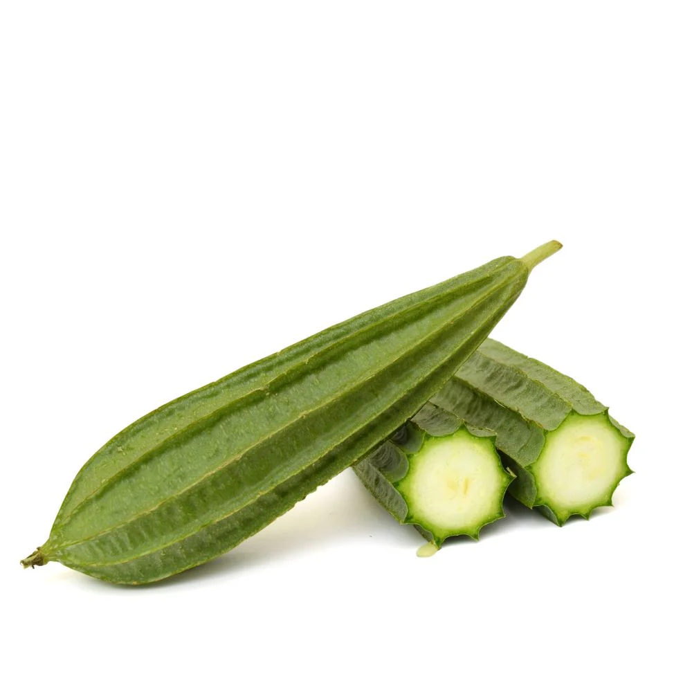 Ridge Gourd Dark Green Seeds - 12 Seeds (Luffa/Turai/तुरई के बीज) Easy To grow, High Germination, High Yield Seeds for Home Gardening - Image 2