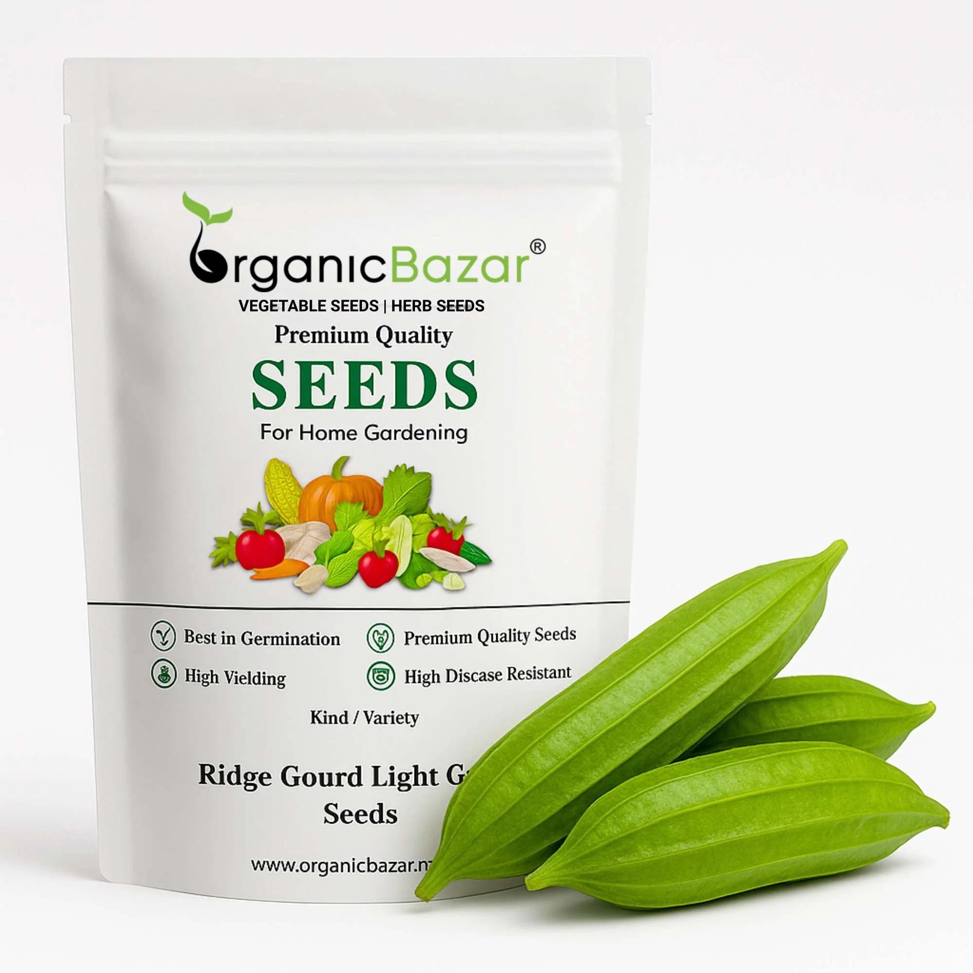 Ridge Gourd Light Green Seeds - 12 Seeds (Luffa/Turai/तुरई के बीज) Easy To grow, High Germination, High Yield Seeds for Home Gardening