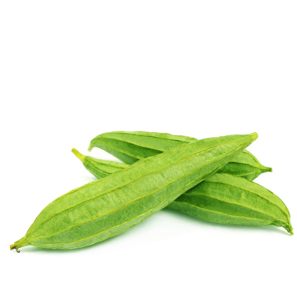 Ridge Gourd Light Green Seeds - 12 Seeds (Luffa/Turai/तुरई के बीज) Easy To grow, High Germination, High Yield Seeds for Home Gardening - Image 2