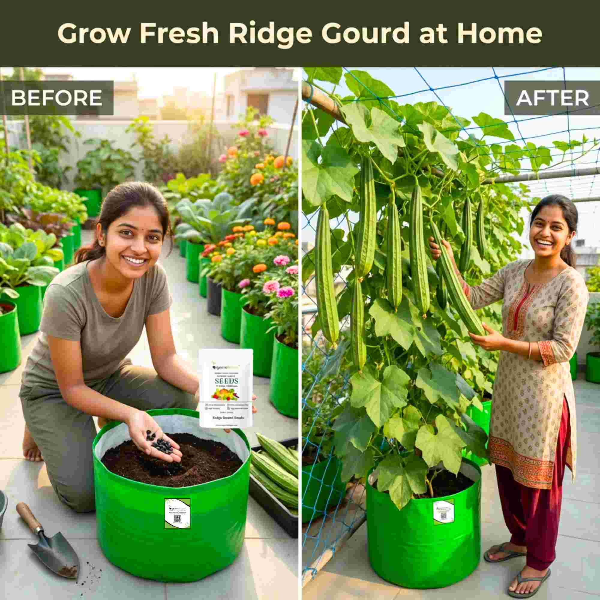 Ridge gourd or Luffa (Turai) Seeds - 12 Seeds (तुरई के बीज) Easy To grow, High Germination, High Yield Seeds for Home Gardening - Image 3