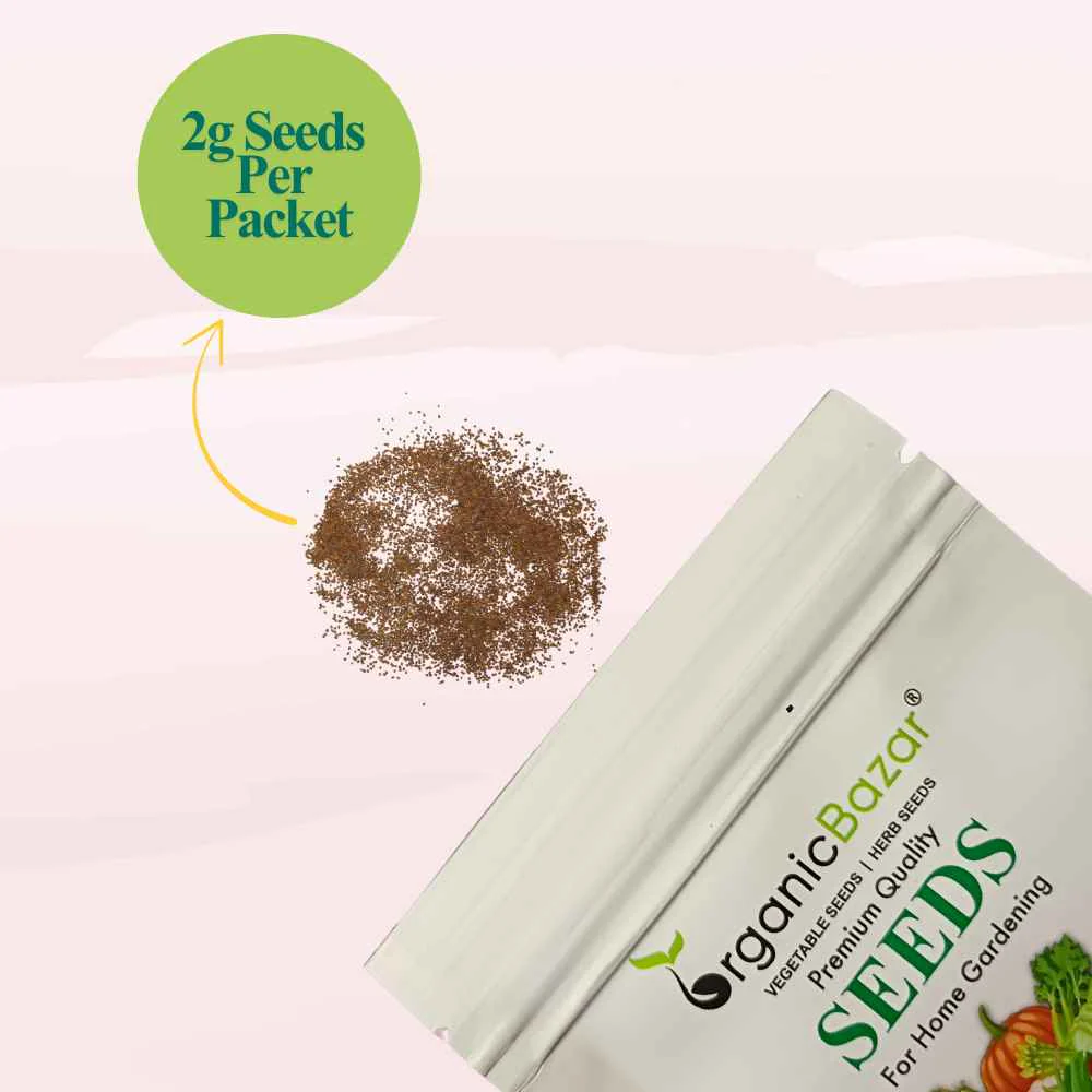 Rocket Microgreen Seeds (2g Seeds) - Image 3