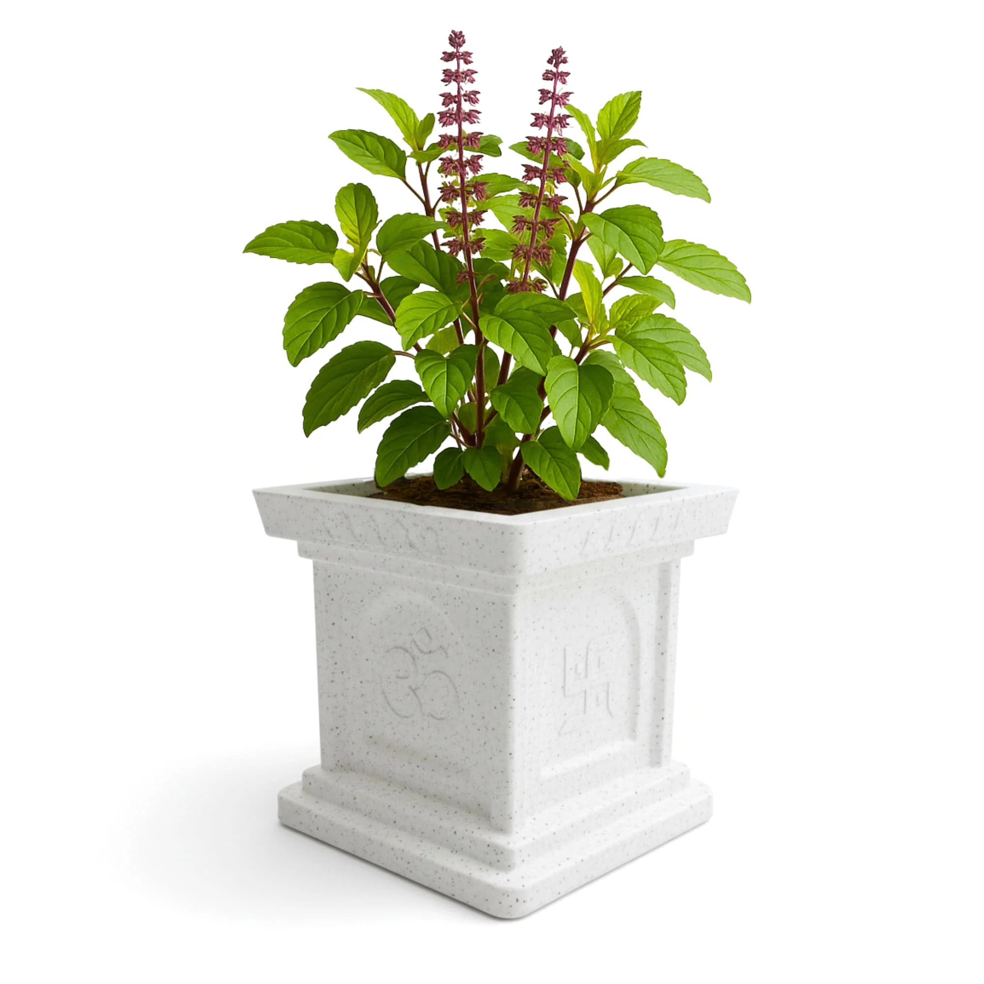 Roto Mould Tulsi Pot with 10+ Years Durability | Tulsi Container for home temples, pooja rooms, and gardens | 4 Sacred Carvings | White & Grey Colors - Image 5