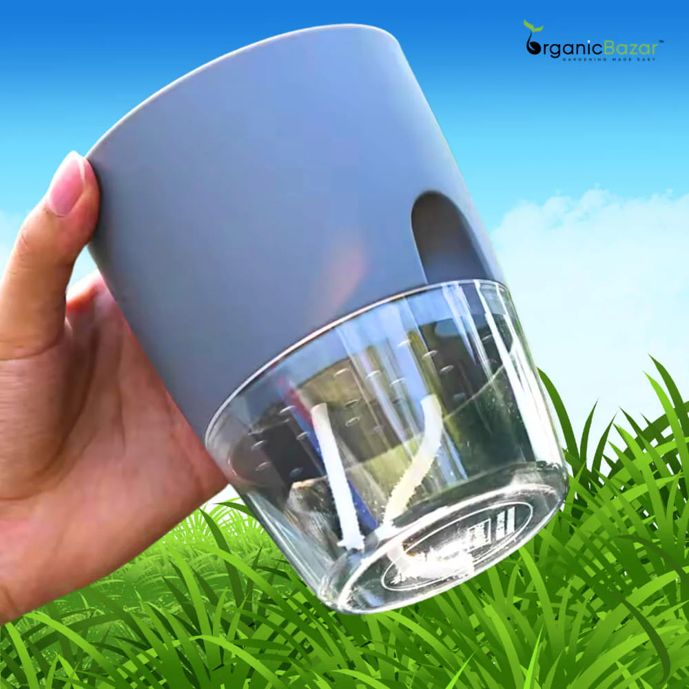 OrganicBazar Self Watering Pot Clear Plastic Decorative Garden Planters (Pack of 2) Without Plant - Image 3