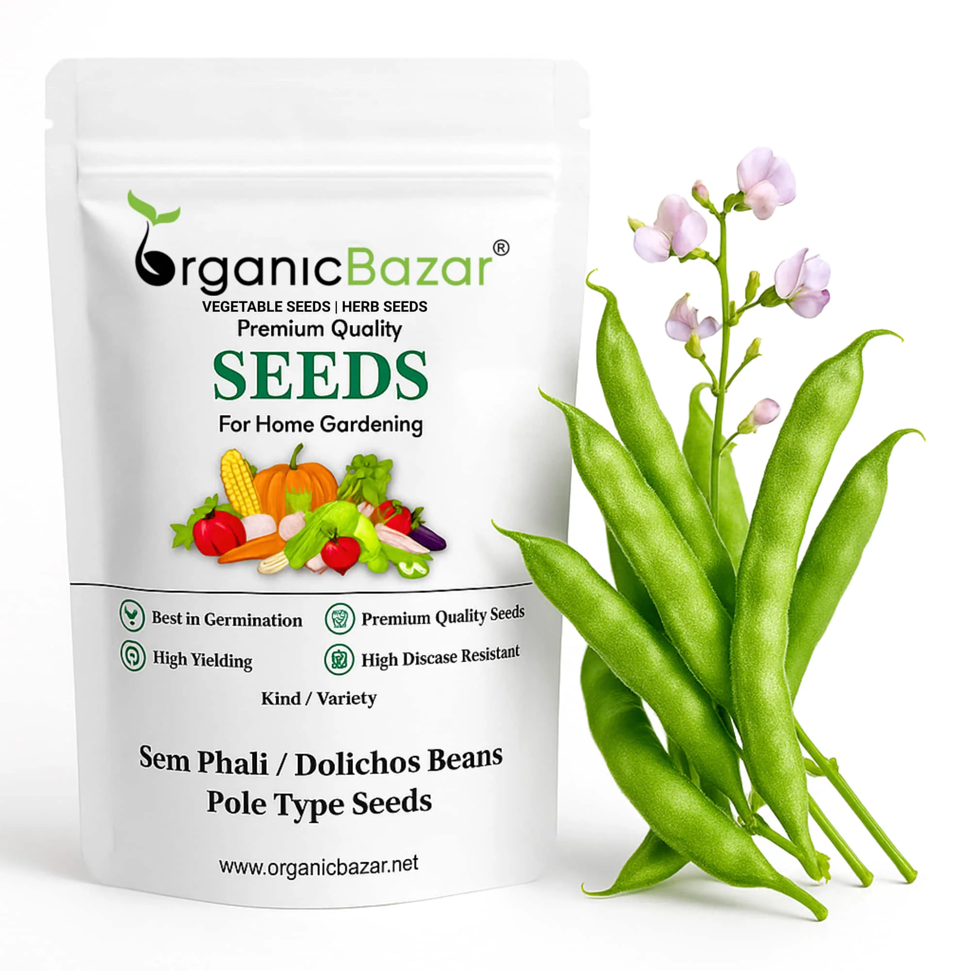 Sem Phali / Dolichos Beans Pole Type Seeds - 20 Seeds (सेम फली के बीज) Easy To grow, High Germination, High Yield Seeds for Home Gardening