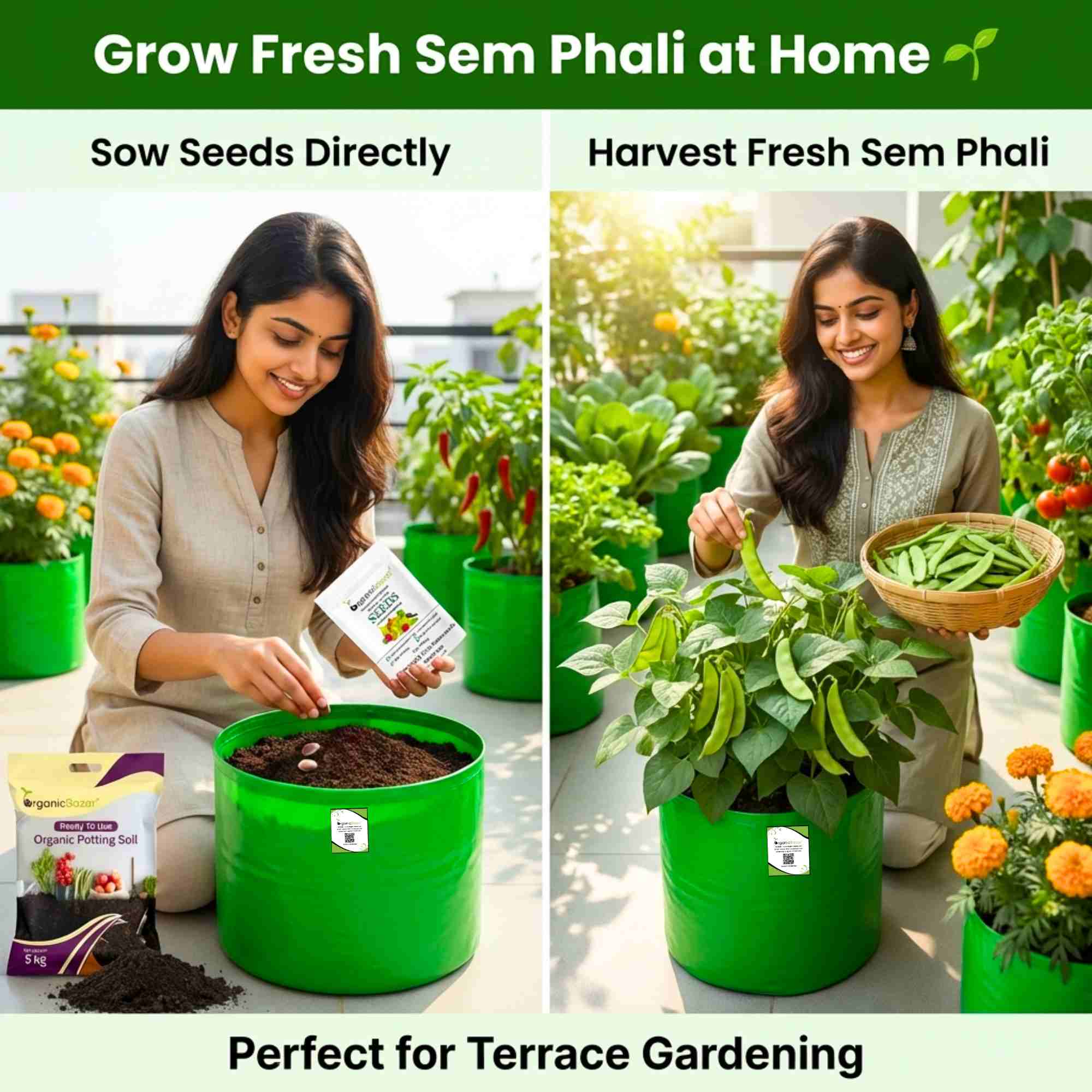 Sem Phali/Lima Beans Seeds Bush Type - 20 Seeds (सेम फली के बीज) Easy To grow, High Germination, High Yield Seeds for Home Gardening - Image 2