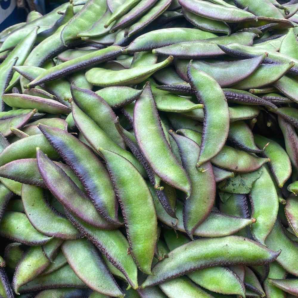 Sem Phali/Lima Beans Seeds Bush Type - 20 Seeds (सेम फली के बीज) Easy To grow, High Germination, High Yield Seeds for Home Gardening - Image 3